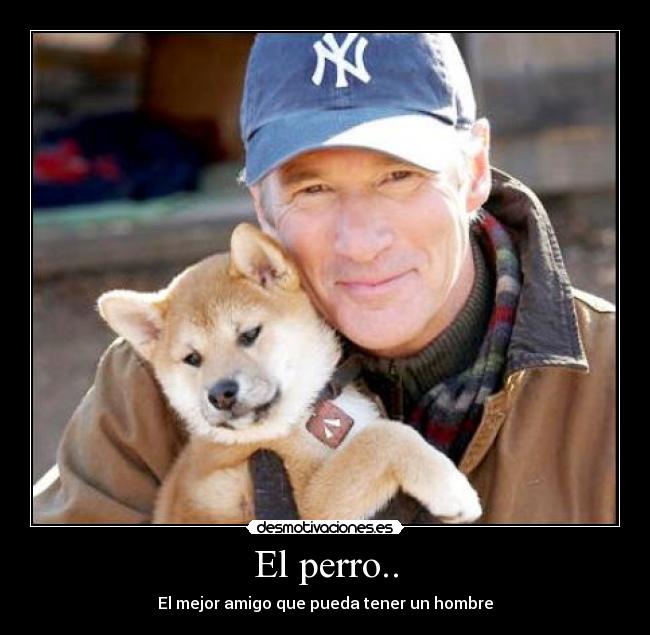 El perro.. - El mejor amigo que pueda tener un hombre
