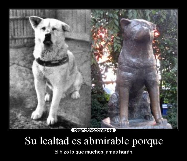 Su lealtad es abmirable porque - 