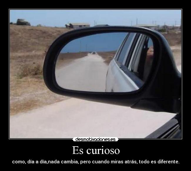 Es curioso - como, día a día,nada cambia, pero cuando miras atrás, todo es diferente.