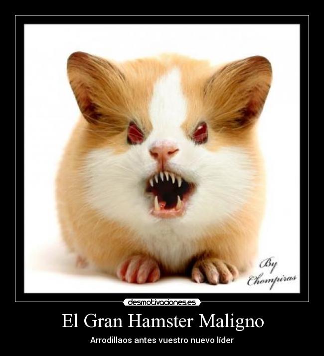 El Gran Hamster Maligno - Arrodillaos antes vuestro nuevo líder
