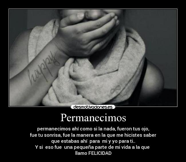 carteles permanecimos desmotivaciones