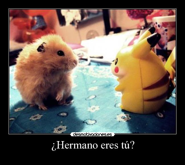 ¿Hermano eres tú? - 