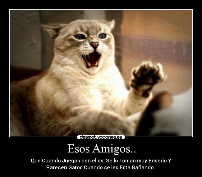 carteles amigos jorgelol desmotivaciones