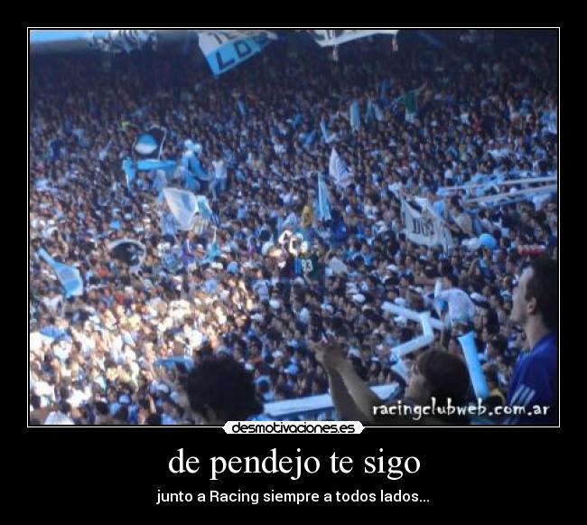 de pendejo te sigo -