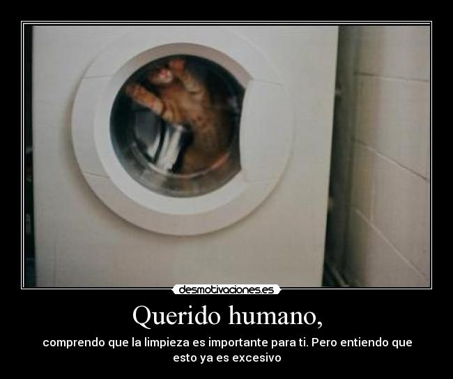 Querido humano, - comprendo que la limpieza es importante para ti. Pero entiendo que
esto ya es excesivo