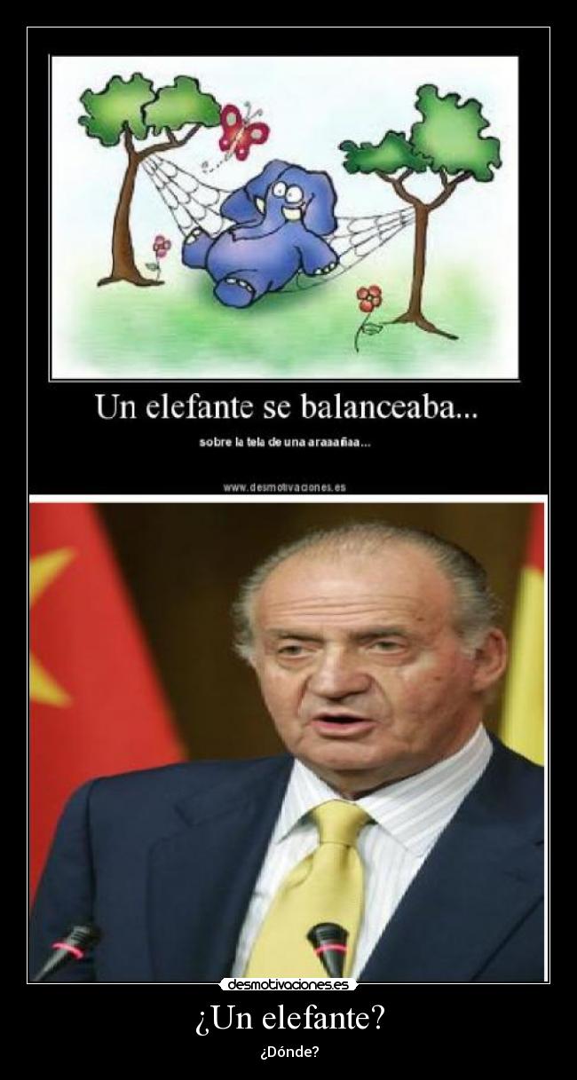 ¿Un elefante? -