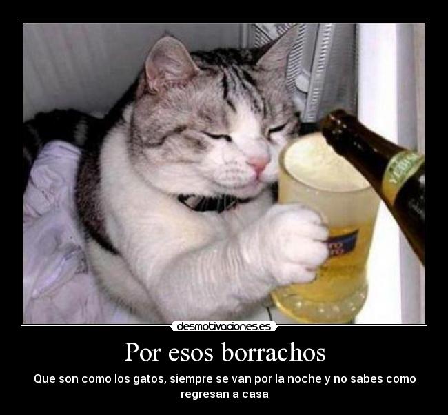 Por esos borrachos - Que son como los gatos, siempre se van por la noche y no sabes como
regresan a casa