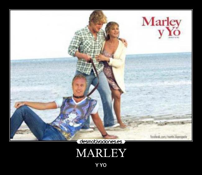 carteles agregenme facebook soy julieta cabrera nunez desmotivaciones