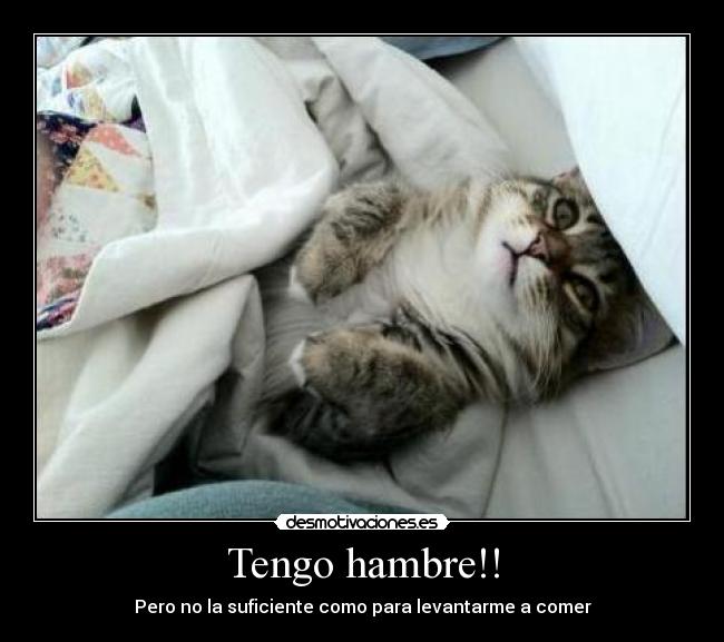 Tengo hambre!! - 