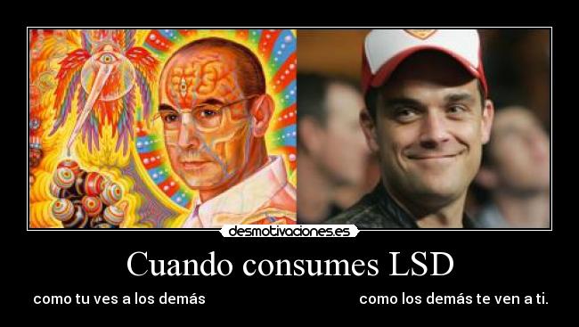 Cuando consumes LSD - como tu ves a los demás como los demás te ven a ti.
