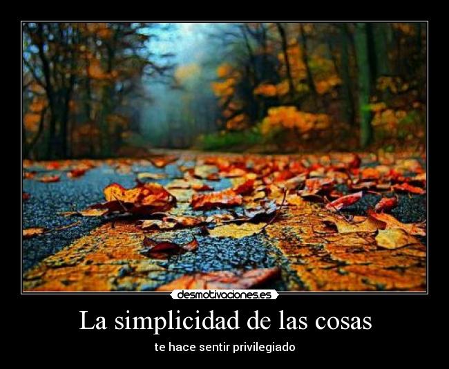 La simplicidad de las cosas - 