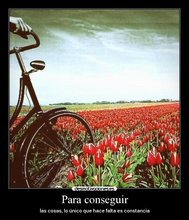 Para conseguir -