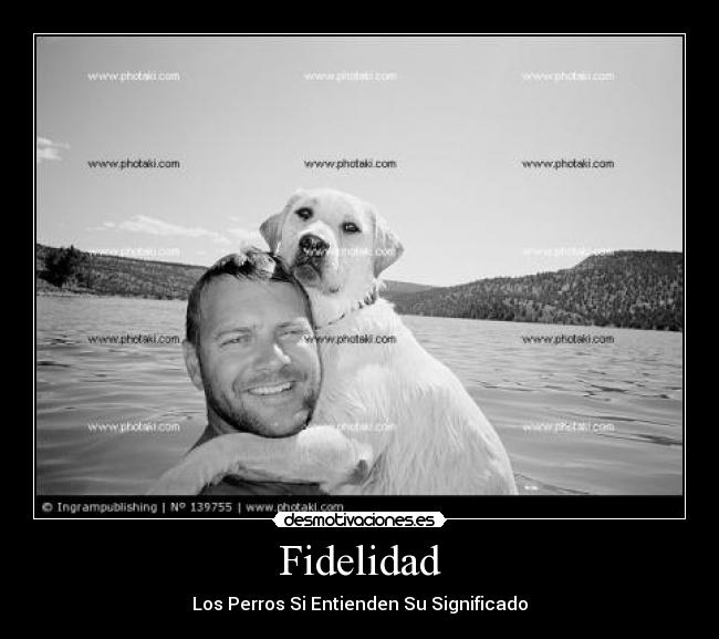 Fidelidad -