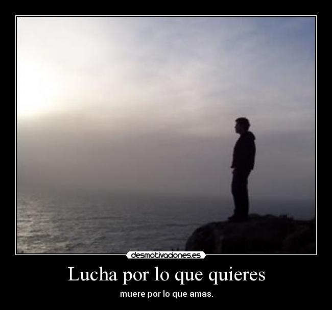 Lucha por lo que quieres - 