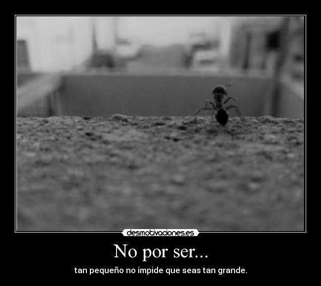 No por ser... - 