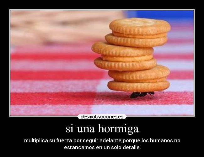 carteles moorales23 lyta esko123 pandoraxe desmotivaciones