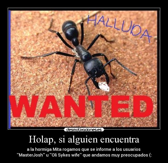 Holap, si alguien encuentra - a la hormiga Mita rogamos que se informe a los usuarios
MasterJosh u Oli Sykes wife que andamos muy preocupados (: