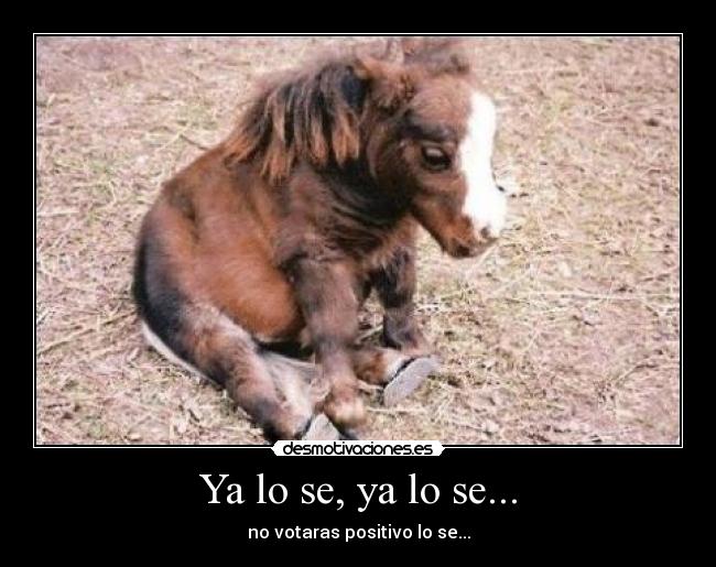 Ya lo se, ya lo se... -