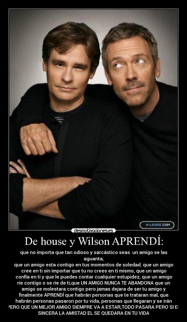 De house y Wilson APRENDÍ: -