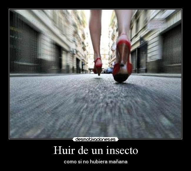 Huir de un insecto - 