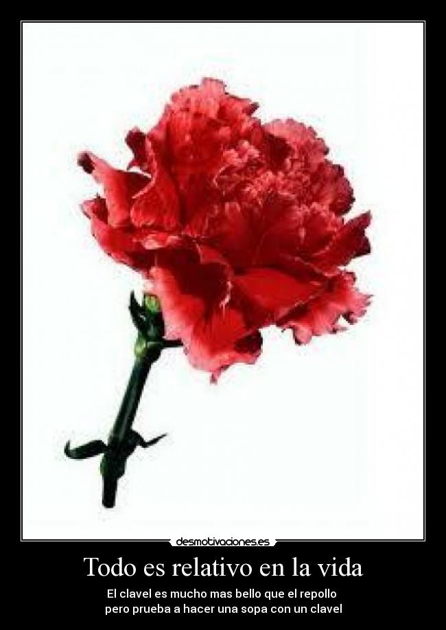 Todo es relativo en la vida - 