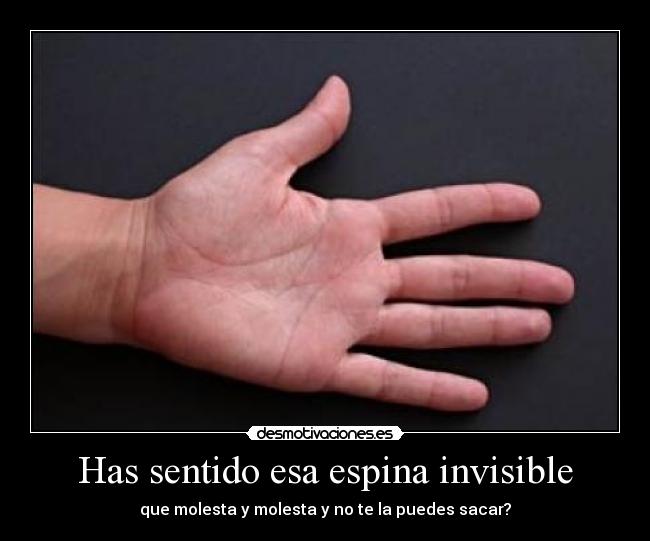 carteles molestado toooodo dia desmotivaciones