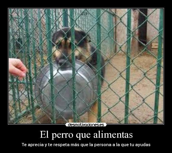 carteles respeta mucho mas desmotivaciones