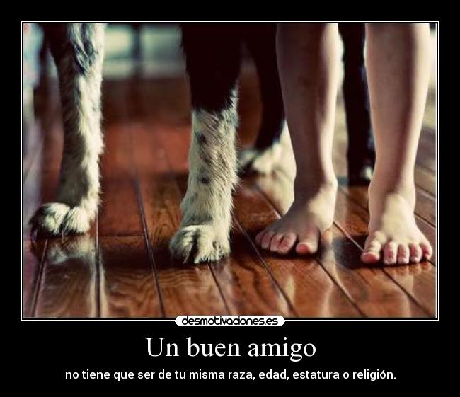 Un buen amigo - 