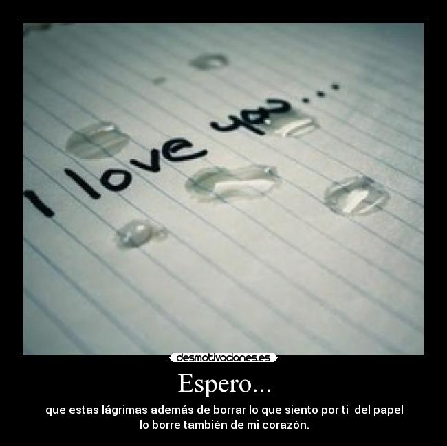 Espero... - que estas lágrimas además de borrar lo que siento por ti  del papel
lo borre también de mi corazón.