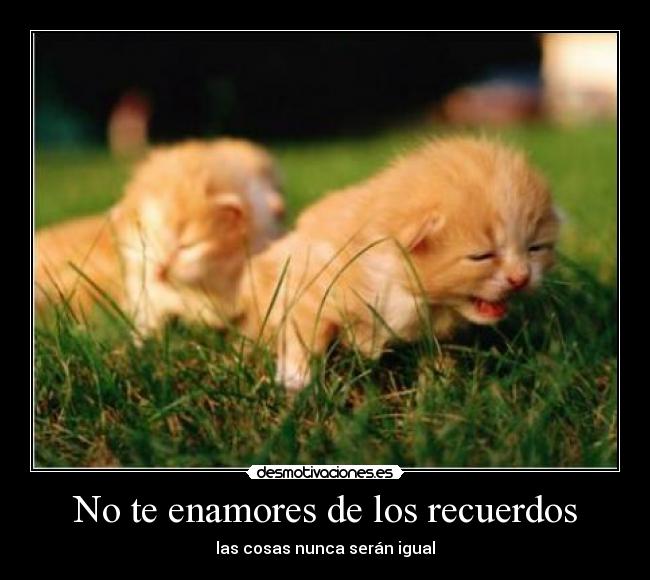 No te enamores de los recuerdos -
