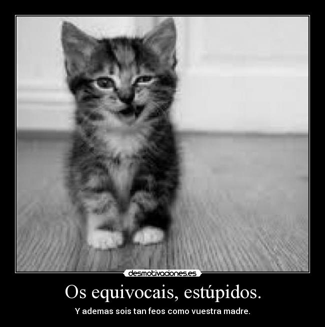 Os equivocais, estúpidos. - Y ademas sois tan feos como vuestra madre.
