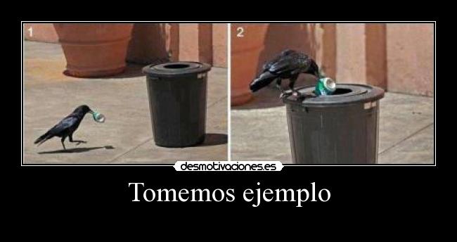 carteles sadf desmotivaciones