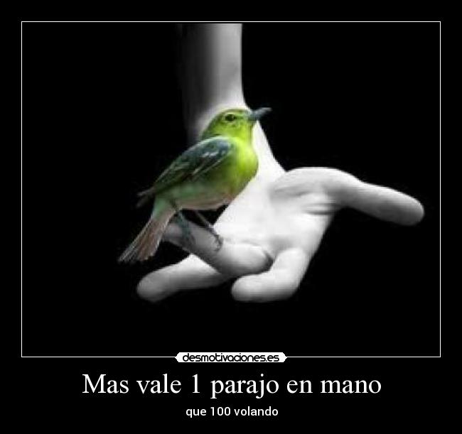 Mas vale 1 parajo en mano - 