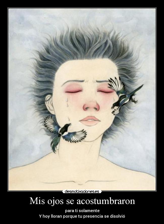 Mis ojos se acostumbraron -