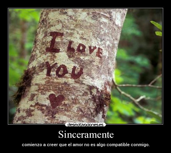 Sinceramente - comienzo a creer que el amor no es algo compatible conmigo.