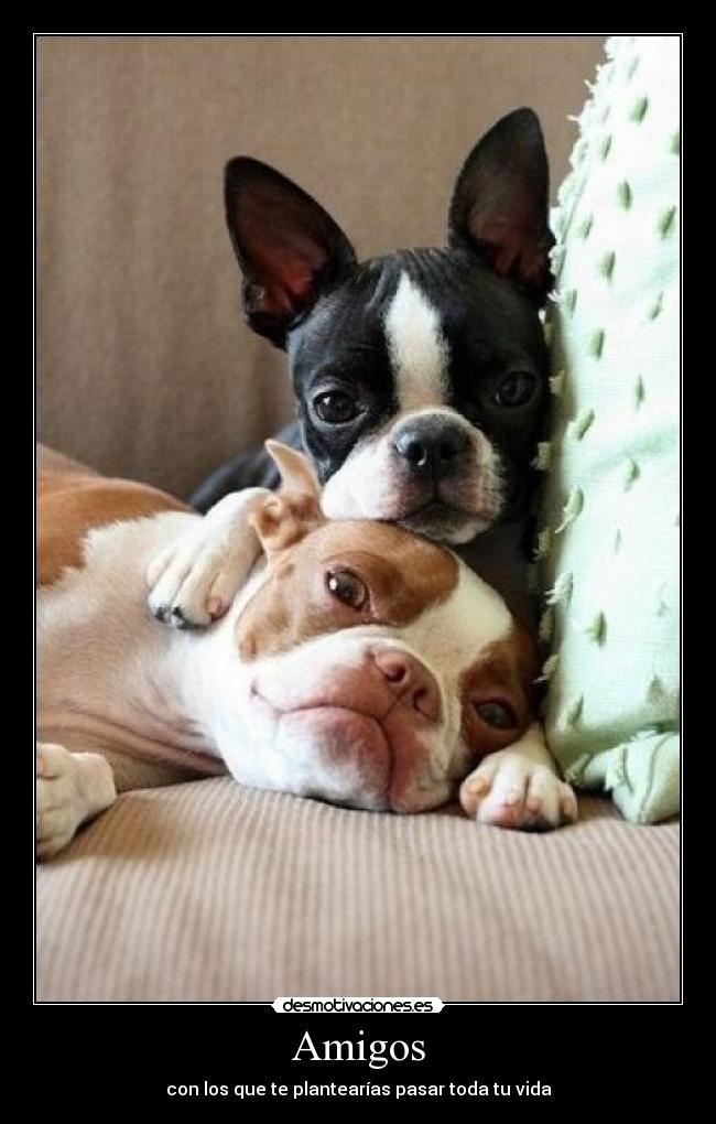 Amigos - con los que te plantearías pasar toda tu vida