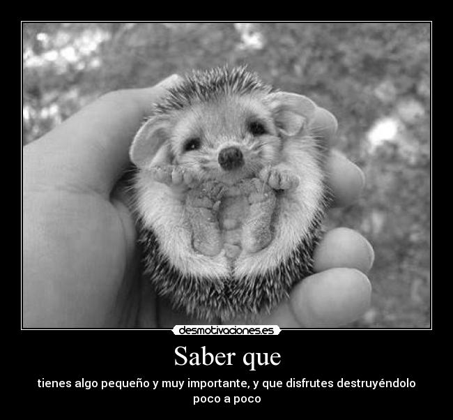 Saber que - tienes algo pequeño y muy importante, y que disfrutes destruyéndolo poco a poco