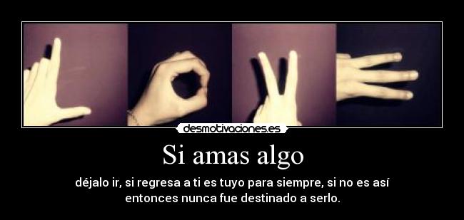 carteles amor desmotivaciones