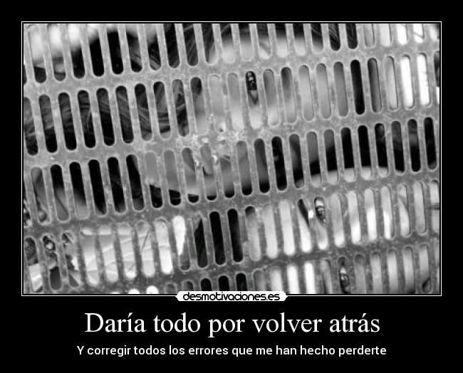 Daría todo por volver atrás - Y corregir todos los errores que me han hecho perderte