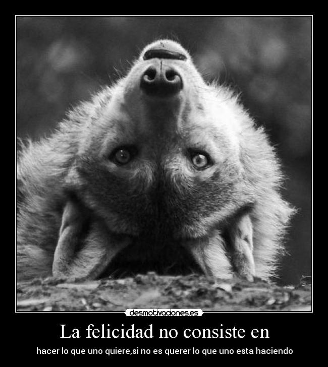 La felicidad no consiste en - 