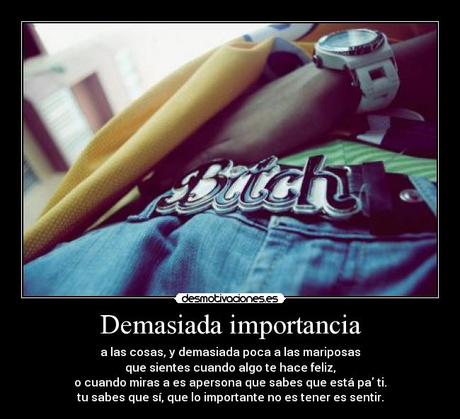 Demasiada importancia - a las cosas, y demasiada poca a las mariposas
que sientes cuando algo te hace feliz,
o cuando miras a es apersona que sabes que está pa ti.
tu sabes que sí, que lo importante no es tener es sentir.