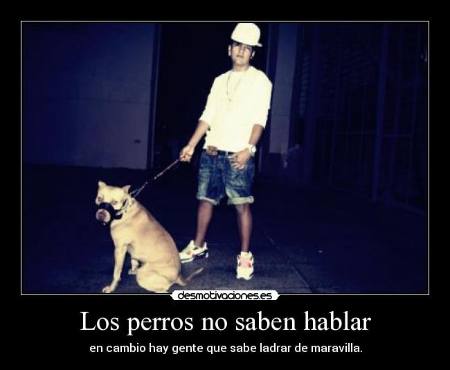 Los perros no saben hablar - en cambio hay gente que sabe ladrar de maravilla.