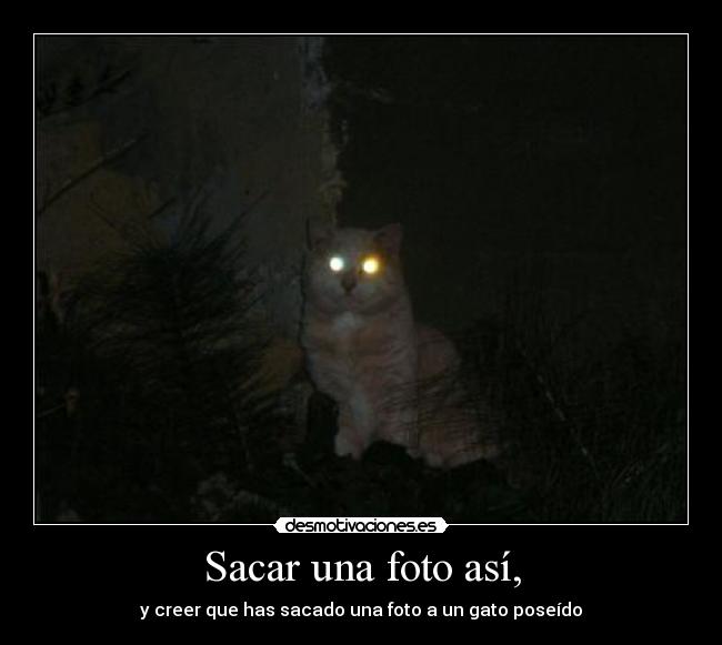 Sacar una foto así, - y creer que has sacado una foto a un gato poseído