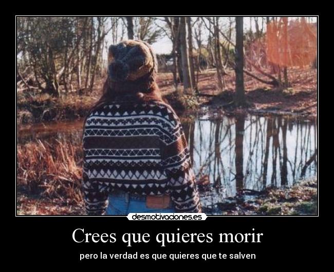 carteles misma desmotivaciones