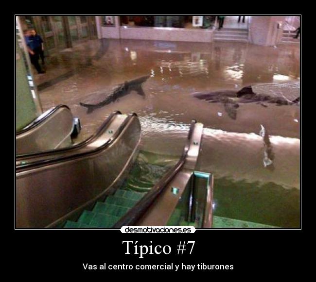 Típico #7 - Vas al centro comercial y hay tiburones