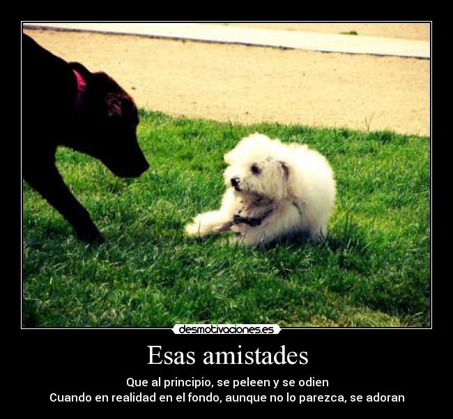 Esas amistades -