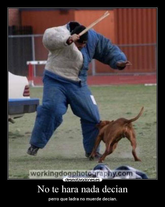 No te hara nada decian -