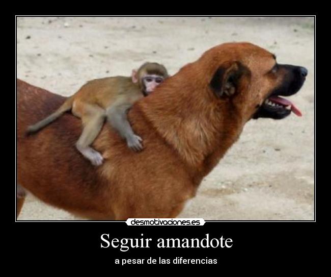 Seguir amandote - a pesar de las diferencias♥