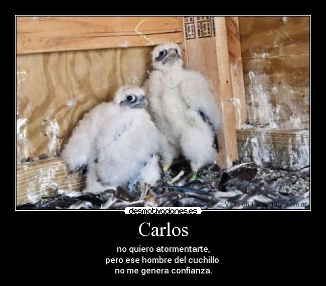 Carlos - no quiero atormentarte,
pero ese hombre del cuchillo
no me genera confianza.