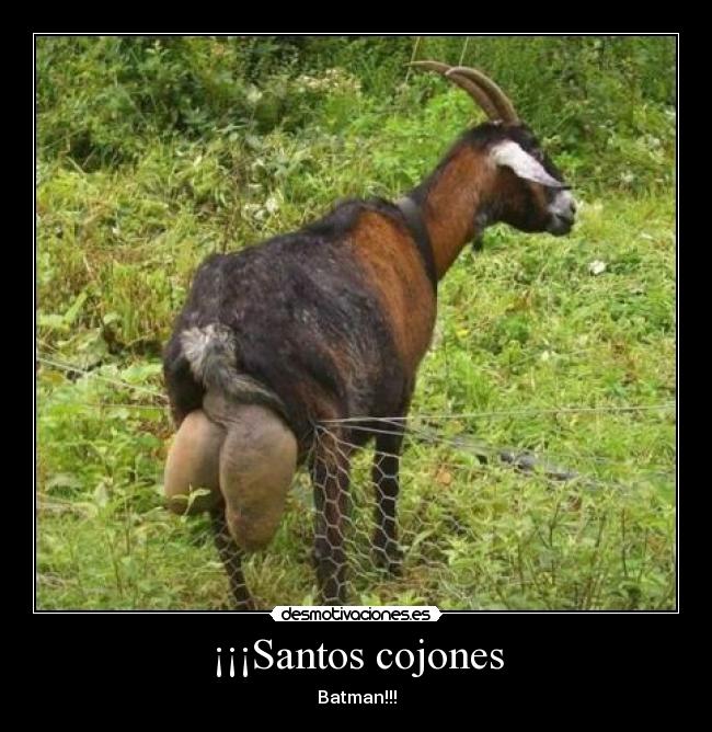 ¡¡¡Santos cojones -